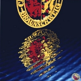 Gerechnete Wasserspiegelung des Wappens der Technischen Universität Braunschweig